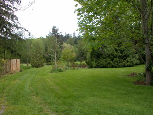 Lower level fireplace